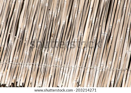 Japanese bamboo texture good for background