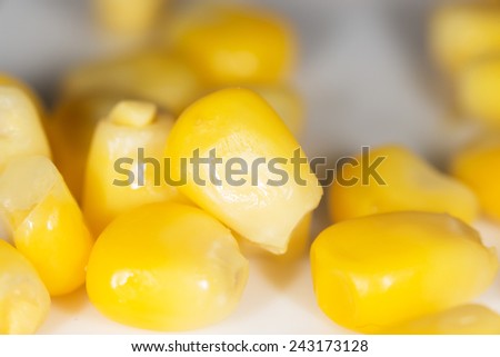 Raw canned corn texture wallpaper