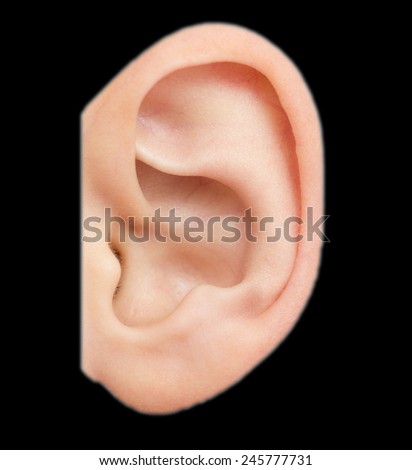 human ear on a black background