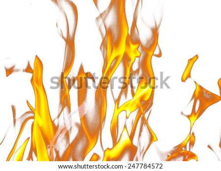 fire flames on a white background