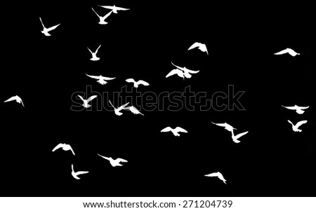 silhouette of a flock of birds on a black background