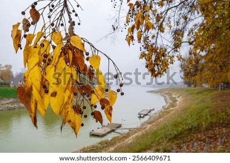 Similar – Image, Stock Photo Danube in the mist