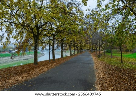 Similar – Image, Stock Photo Danube in the mist