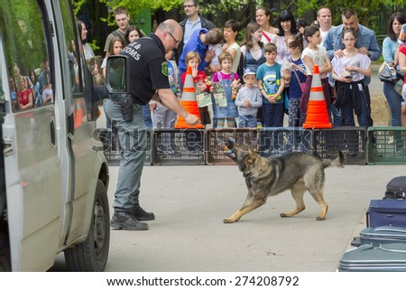SZEGED, HUNGARY - APRIL 26. 2015 - Excise officer (NAV) holds a presendation with a drug detection dog in the \'Earth day\' event in Szeged Zoo.