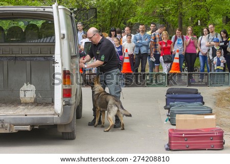 SZEGED, HUNGARY - APRIL 26. 2015 - Excise officer (NAV) holds a presendation with a drug detection dog in the \'Earth day\' event in Szeged Zoo.