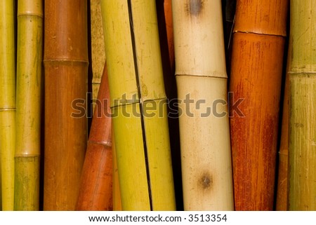 home decorating with colored bamboo poles in a natural texture