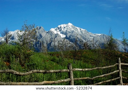 scenery of snowy mountain with green tree and wood fence