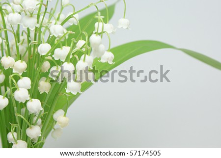 Bouquet lilies of the valley