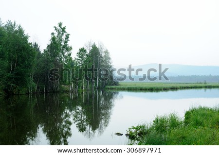 misty morning on the lake. early summer morning. drizzling rain. forest on the lake. photo toned