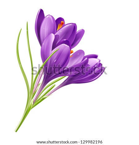 Similar – Image, Stock Photo Layout from crocus flowers