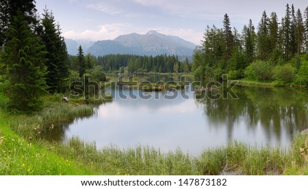 Mountain lake and pine forest. Slovakia, small lake Strbske Pleso