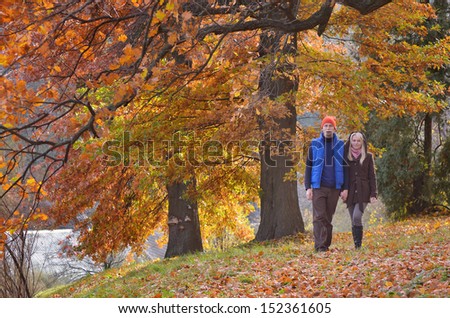 Couple walking in the autumn park on a sunny day
