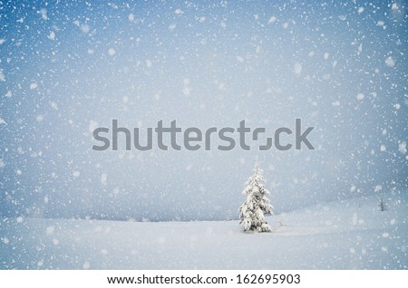 Winter landscape with snow-covered fir-tree in a lonely mountain valley. Christmas theme with snowfall