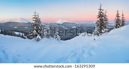 Winter panorama in the mountains at dawn. Carpathians, Ukraine, Europe.