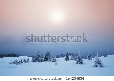 Winter landscape misty evening in a mountain valley