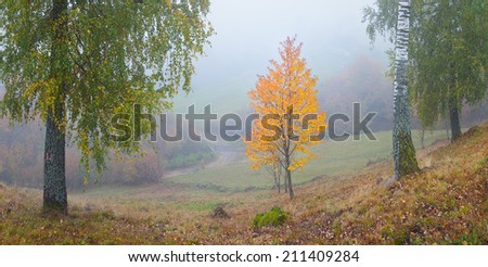 Autumn landscape with a beautiful tree with orange leaves. Panorama in the mountain village