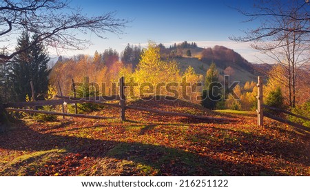 Road in the mountain village. Beautiful autumn. Wooden fence with a gate. Carpathian mountains, Ukraine, Europe