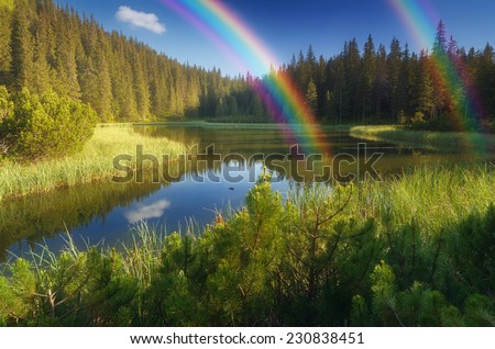 Landscape with beautiful lake in a mountain forest. Sunny summer day