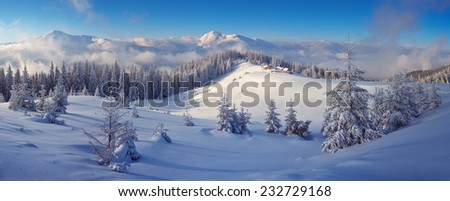 Winter forest in mountains. Snow on the trees. Christmas landscape