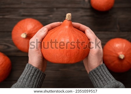 Similar – Image, Stock Photo Hokkaido pumpkin in red in a round basket on old cobblestones in the Hanseatic town of Lemgo near Detmold in East Westphalia-Lippe