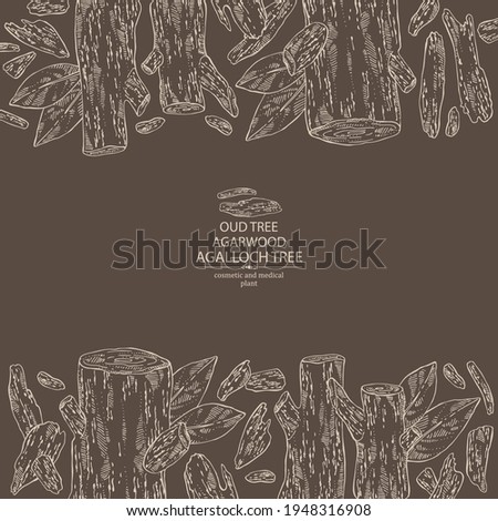 Background agar wood: oud tree, leaves and pice of agar wood. Agalloch tree. Perfumery, cosmetics and medical plant. Vector hand drawn illustration Photo stock © 