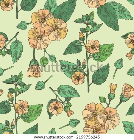 Seamless pattern with sida cordifolia: sida cordifolia plant, bala leaves and sida cordifolia flowers. Bala. Cosmetic, perfumery and medical plant. Vector hand drawn illustration.