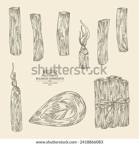 Collection of palo santo: palo santo wood  and palo santo sticks. Bulnesia sarmientoi. Cosmetic, perfumery and medical plant. Vector hand drawn illustration