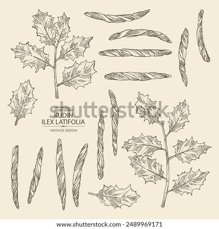 Similar – Image, Stock Photo Dry holly leaf on purple