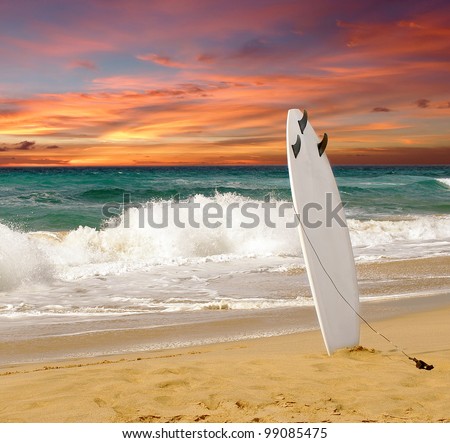 surfboards awaiting fun in the sun