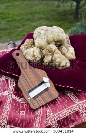 White Truffles resting on a red pillow with a side truffles slicer