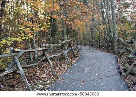 Fall road with wooden fence surrounded by colorful leaves