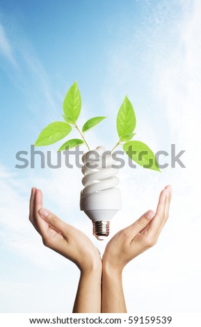Energy saving light bulb in hands with green leaves
