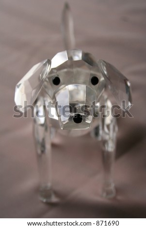 crystal dog