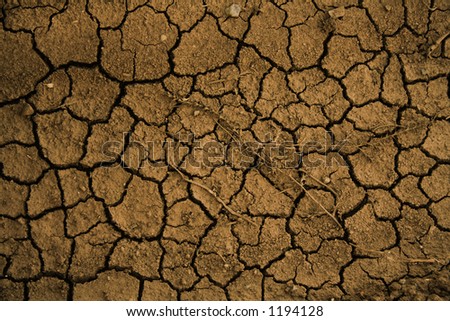 mud background of cracked mosaic clay
