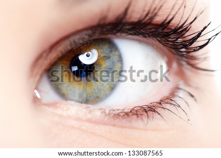 Beautiful young woman eye closeup. Vision background.