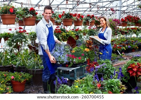 Gardening people. Florist working with flowers in greenhouse.