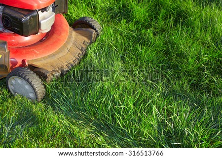 Lawn mower cutting green grass. Work in the garden.