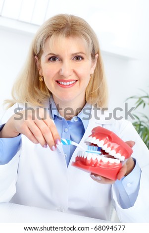 Smiling dentist with teeth dental model in the office