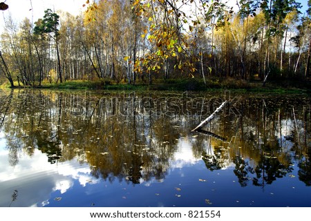 Autumn landscape with leaves and the river.