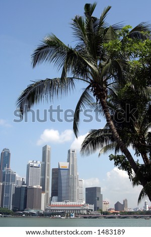 Singapore City Skyline with coconut tree
