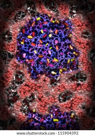 Colony of bacteria seen under microscope
