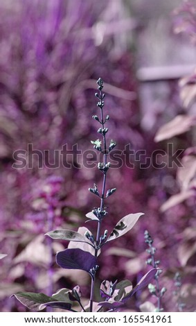 Abstract purple floral background with soft focus and old paper texture