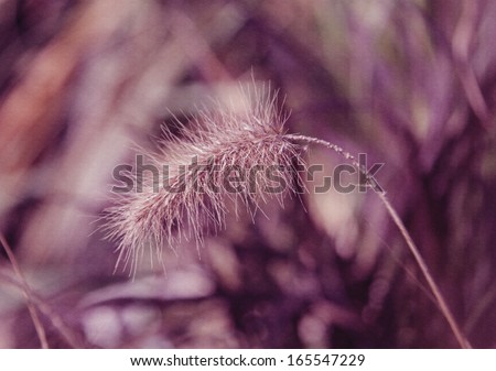Abstract purple floral background with soft focus and old paper texture