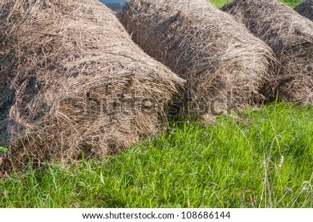 Rolls of hay on the grass at the slope of a Dutch dike
