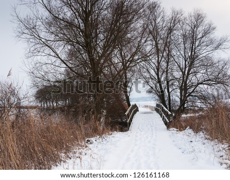 Dutch wintry landscape with a small wooden bridge covered with snow, bare trees and brown rushes.