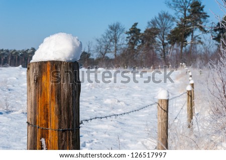 Fence of wooden posts with barbed wire in a snowy winter landscape in the Netherlands.