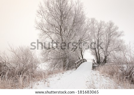Rural landscape in the Netherlands with bare trees a wooden bridge on a misty and cloudy day in the winter season.