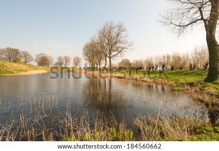 Dutch landscape with bare trees in the early spring season.