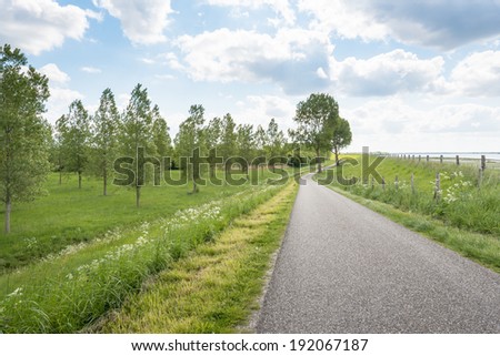 Meandering asphalt road and flowering weeds beside a dike in the Netherlands.