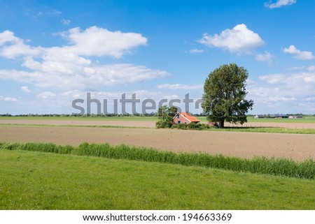 Rural landscape on a sunny day in the spring season.